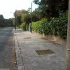 23 maggio 2011 Sabaudia: Il Verde è Vita